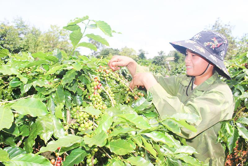 Cần thêm nguồn lực để đẩy nhanh tiến độ xây dựng nông thôn mới ở Hướng Hóa